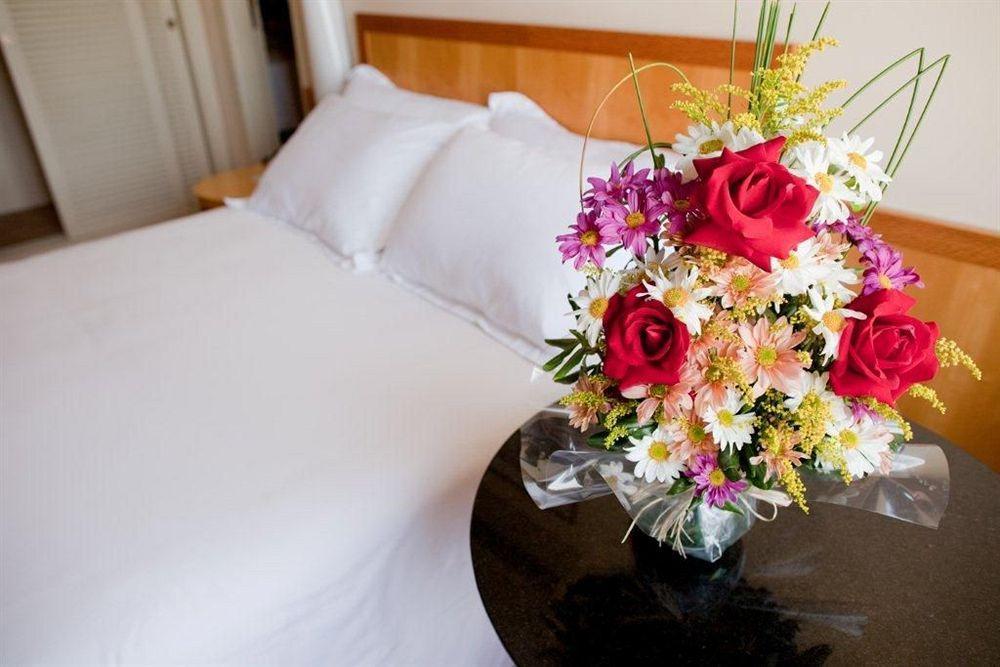 Hotel Pergamon Sp Frei Caneca By Accor